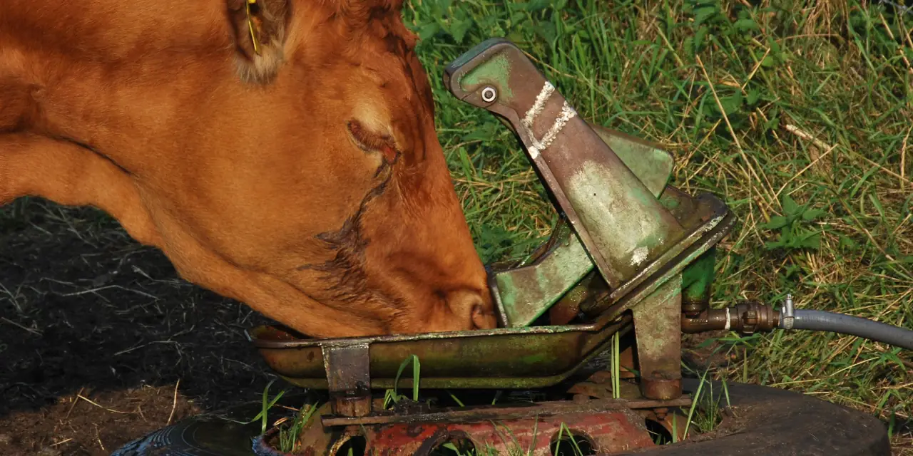 weidebrunnen_1280x640_70